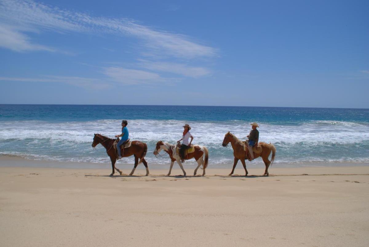 Cabo Manor -full Work From Condo! Handicap Accessible Aparthotel *